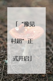 “豫见村超”正式开启