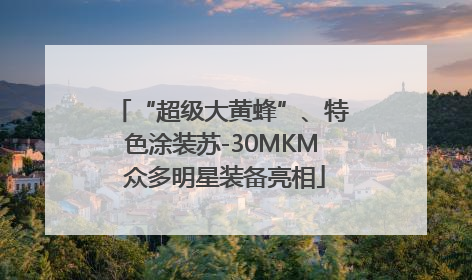 “超级大黄蜂”、特色涂装苏-30MKM 众多明星装备亮相