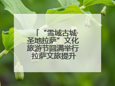 “雪域古城·圣地拉萨”文化旅游节圆满举行 拉萨文旅提升项目惊艳亮相