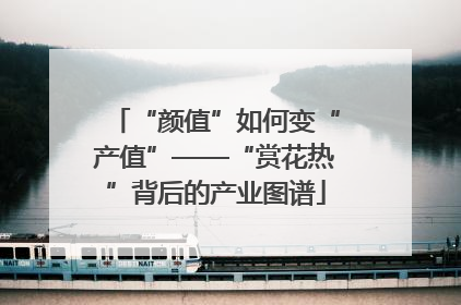 “颜值”如何变“产值”——“赏花热”背后的产业图谱