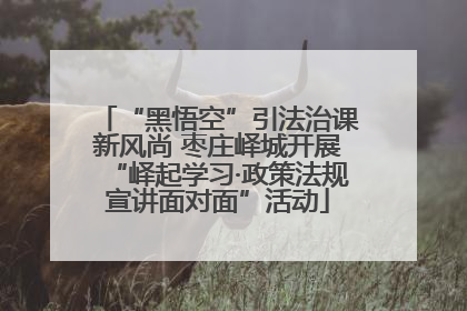 “黑悟空”引法治课新风尚 枣庄峄城开展“峄起学习·政策法规宣讲面对面”活动