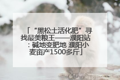 “黑松土活化肥”寻找最美粮王——濮阳站：碱地变肥地 濮阳小麦亩产1500多斤