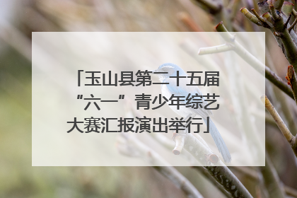 玉山县第二十五届“六一”青少年综艺大赛汇报演出举行