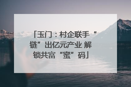 玉门：村企联手“链”出亿元产业 解锁共富“蜜”码