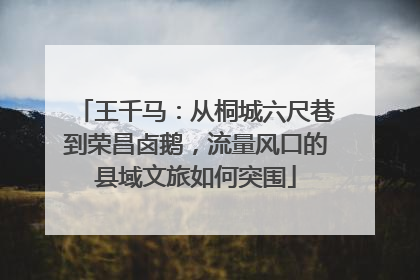 王千马：从桐城六尺巷到荣昌卤鹅，流量风口的县域文旅如何突围