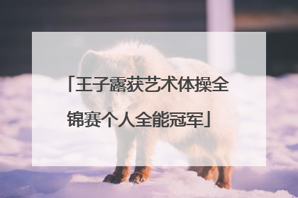 王子露获艺术体操全锦赛个人全能冠军