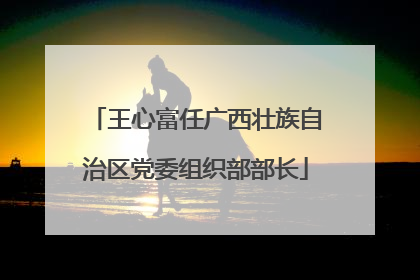 王心富任广西壮族自治区党委组织部部长