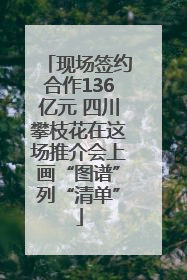 现场签约合作136亿元 四川攀枝花在这场推介会上画“图谱”列“清单”