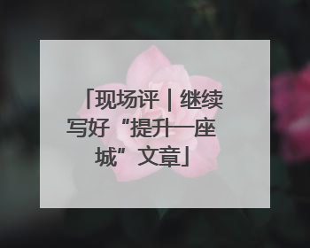 现场评｜继续写好“提升一座城”文章
