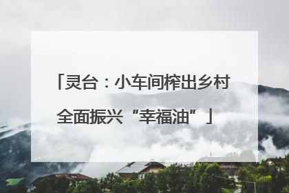 灵台：小车间榨出乡村全面振兴“幸福油”