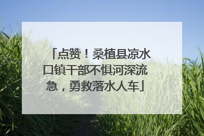 点赞！桑植县凉水口镇干部不惧河深流急，勇救落水人车