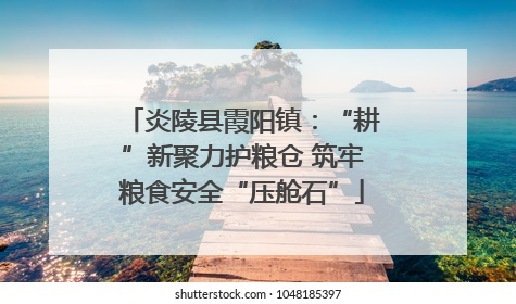 炎陵县霞阳镇：“耕”新聚力护粮仓 筑牢粮食安全“压舱石”