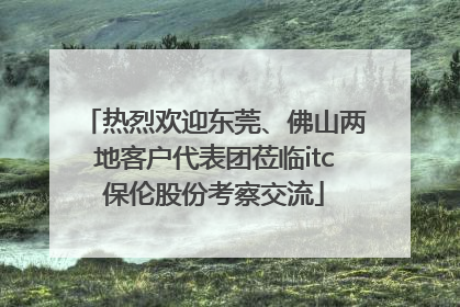 热烈欢迎东莞、佛山两地客户代表团莅临itc保伦股份考察交流