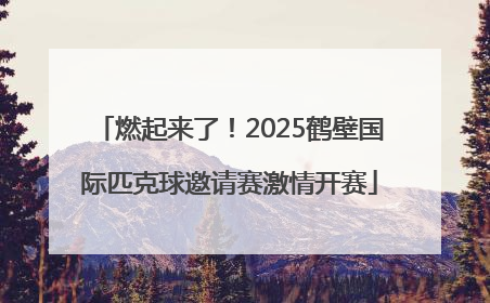 燃起来了！2025鹤壁国际匹克球邀请赛激情开赛