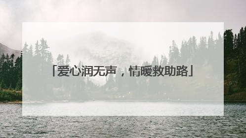 爱心润无声，情暖救助路