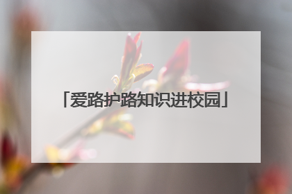 爱路护路知识进校园