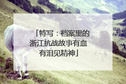 特写：档案里的浙江抗战故事有血有泪见精神