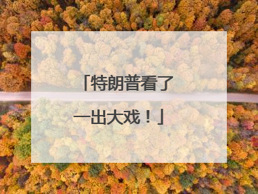 特朗普看了一出大戏！