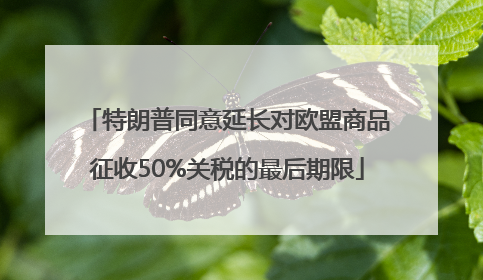 特朗普同意延长对欧盟商品征收50%关税的最后期限