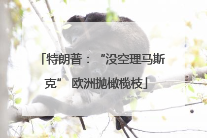 特朗普：“没空理马斯克” 欧洲抛橄榄枝