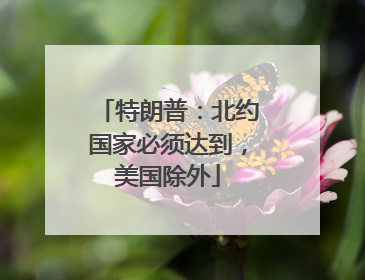 特朗普：北约国家必须达到，美国除外