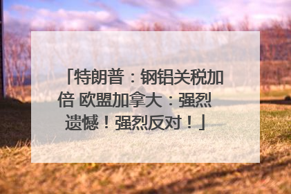 特朗普：钢铝关税加倍 欧盟加拿大：强烈遗憾！强烈反对！