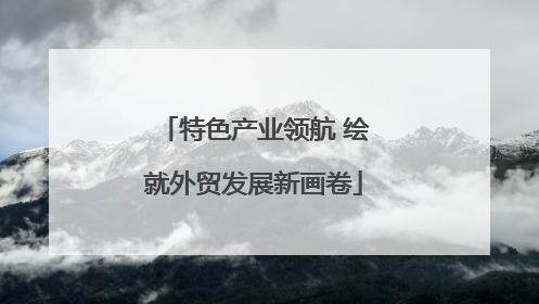 特色产业领航 绘就外贸发展新画卷