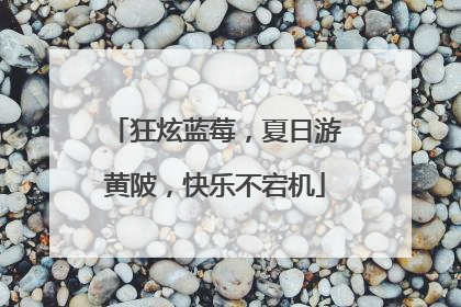 狂炫蓝莓，夏日游黄陂，快乐不宕机