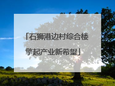 石狮港边村综合楼擎起产业新希望