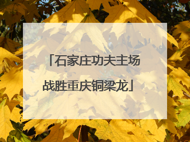 石家庄功夫主场战胜重庆铜梁龙