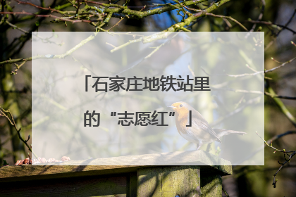石家庄地铁站里的“志愿红”