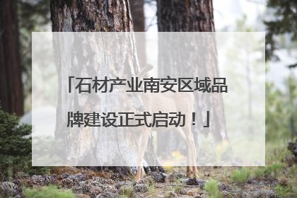 石材产业南安区域品牌建设正式启动！