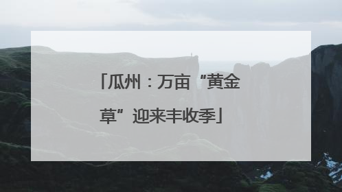 瓜州：万亩“黄金草”迎来丰收季
