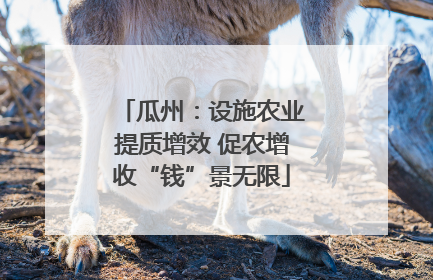 瓜州：设施农业提质增效 促农增收“钱”景无限