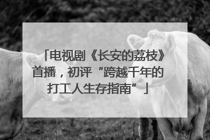 电视剧《长安的荔枝》首播，初评“跨越千年的打工人生存指南”