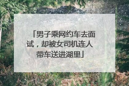 男子乘网约车去面试，却被女司机连人带车送进湖里