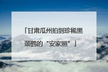 甘肃瓜州拍到珍稀黑颈鹤的“安家照”