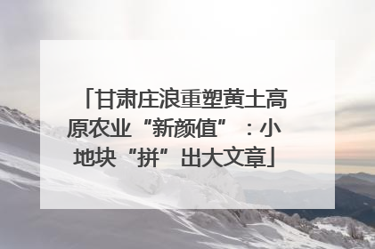 甘肃庄浪重塑黄土高原农业“新颜值”：小地块“拼”出大文章