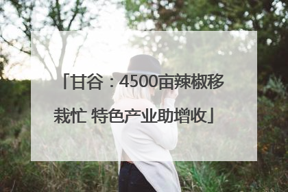 甘谷：4500亩辣椒移栽忙 特色产业助增收