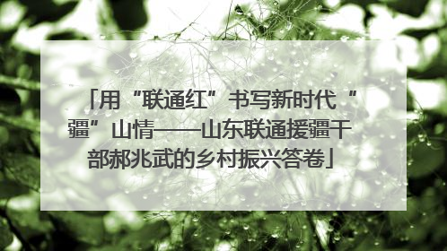 用“联通红”书写新时代“疆”山情——山东联通援疆干部郝兆武的乡村振兴答卷