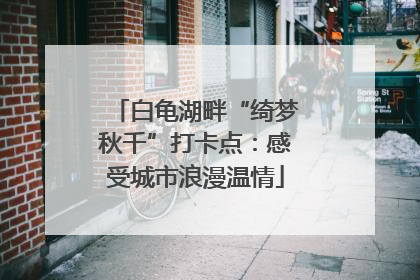 白龟湖畔“绮梦秋千”打卡点：感受城市浪漫温情