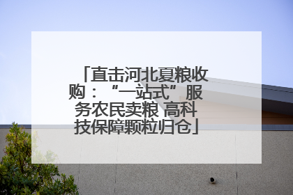 直击河北夏粮收购：“一站式”服务农民卖粮 高科技保障颗粒归仓