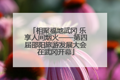 相聚福地武冈 乐享人间烟火——第四届邵阳旅游发展大会在武冈开幕