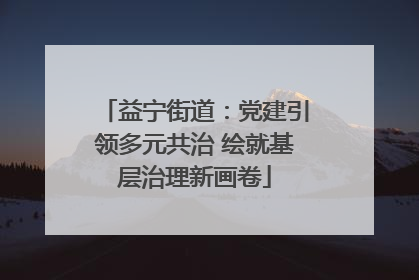 益宁街道：党建引领多元共治 绘就基层治理新画卷