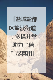 盐城盐都区盐渎街道：多措并举 助力“秸”尽其用