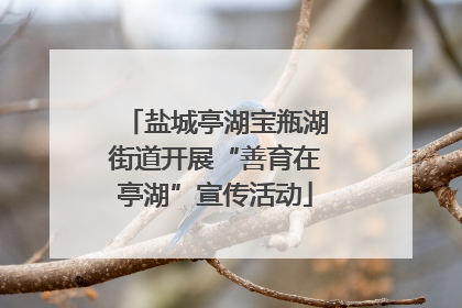 盐城亭湖宝瓶湖街道开展“善育在亭湖”宣传活动