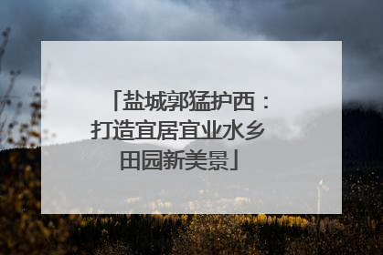 盐城郭猛护西：打造宜居宜业水乡田园新美景
