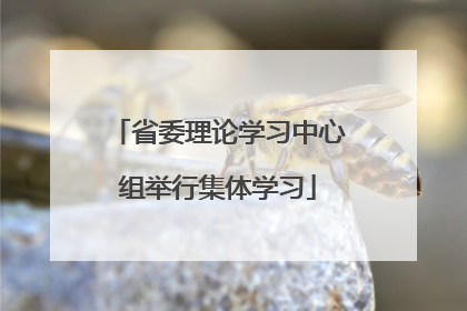 省委理论学习中心组举行集体学习