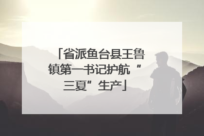 省派鱼台县王鲁镇第一书记护航“三夏”生产