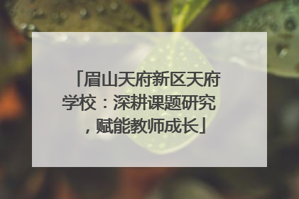 眉山天府新区天府学校：深耕课题研究，赋能教师成长